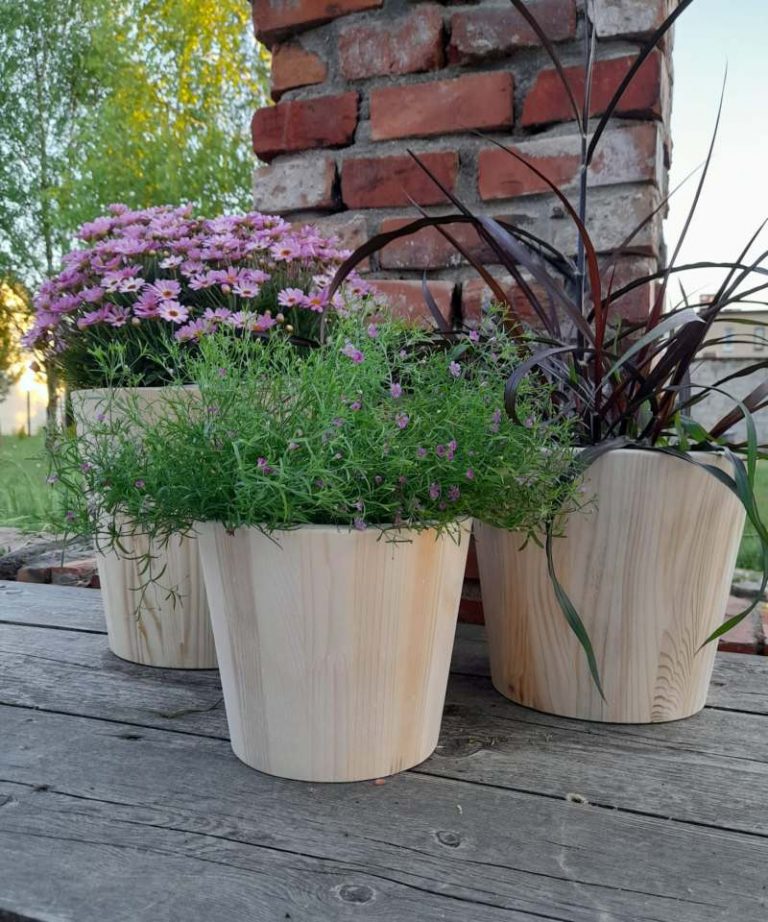 Drewniane donice ogrodowe - jak wybrać odpowiednie naczynia do uprawy roślin na tarasie czy balkonie